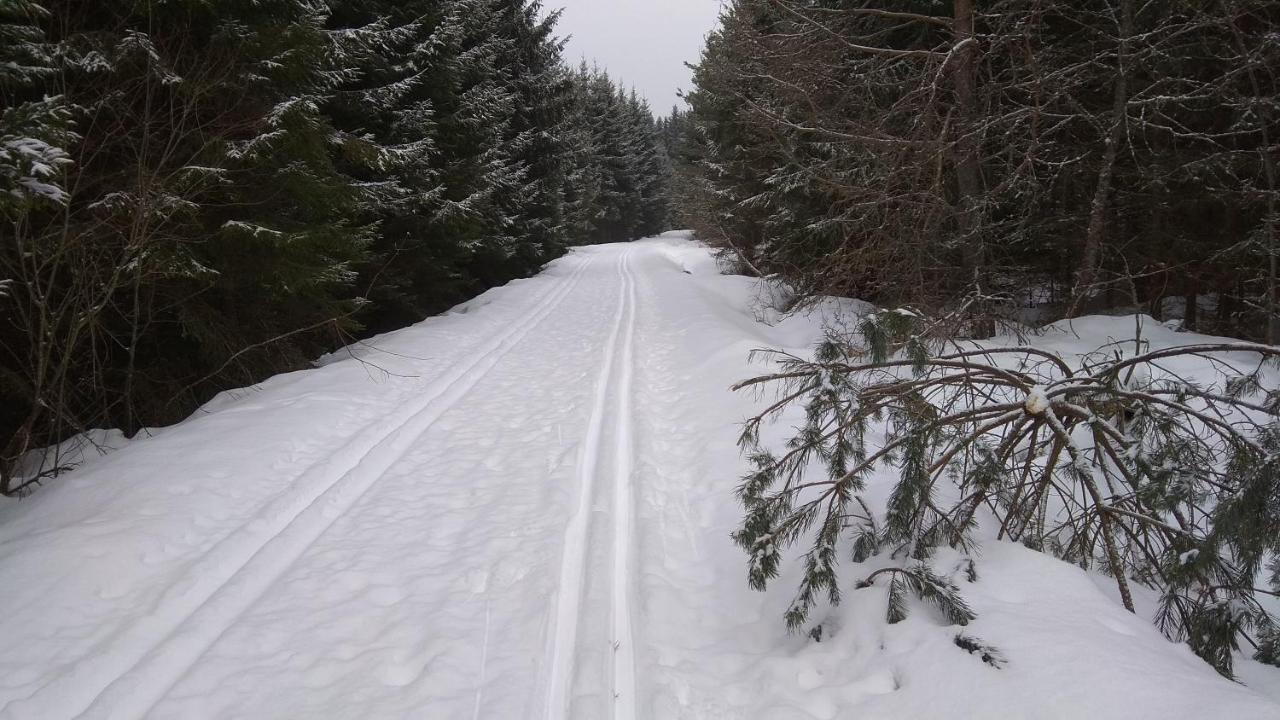 Apt.Jana ,Apt.Terezka Stožec Extérieur photo